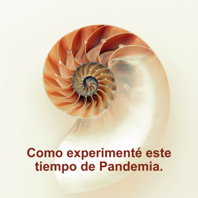 Como experimenté este tiempo de pandemia