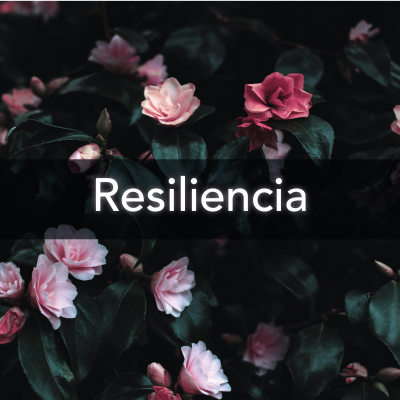 Resiliencia