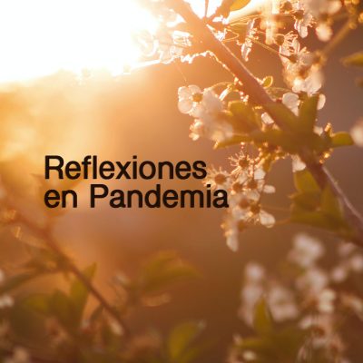 Reflexiones en Pandemia