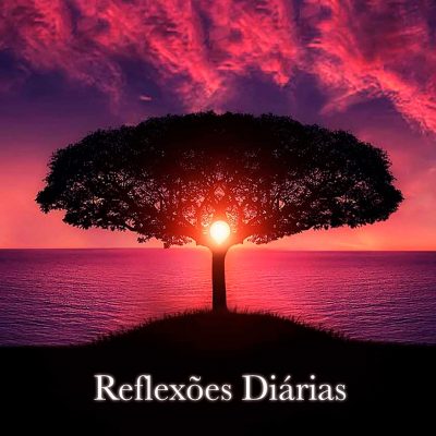 Reflexões diárias