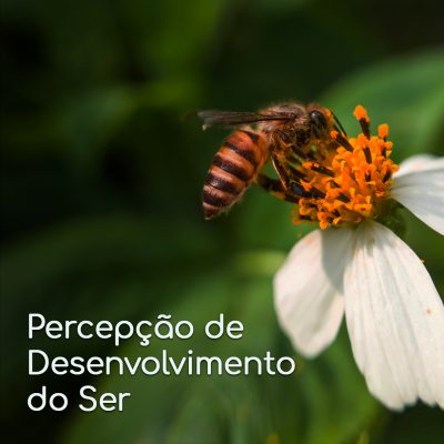 Percepção de Desenvolvimento do Ser