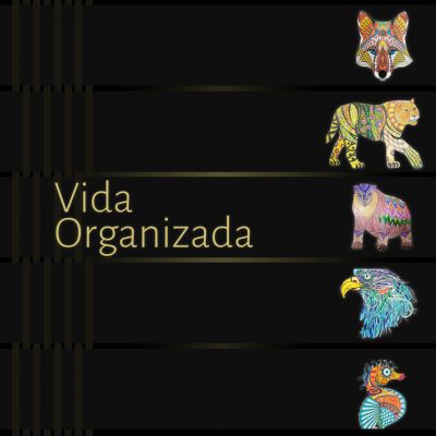 Vida Organizada