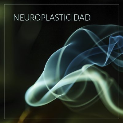 NEUROPLASTICIDAD