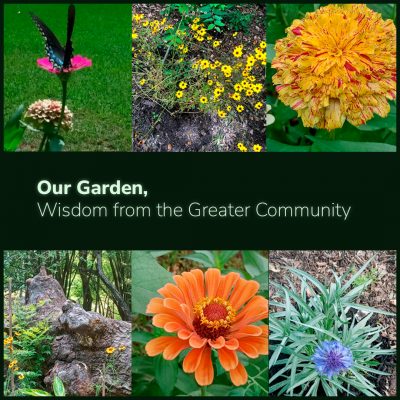 Our Garden, Wisdom from the Greater Community