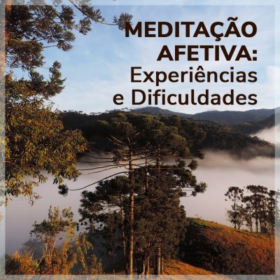 MEDITAÇÃO AFETIVA: Experiências e Dificuldades