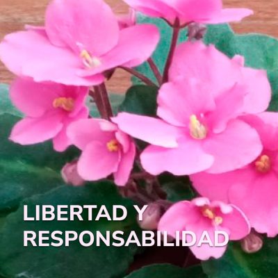 LIBERTAD Y RESPONSABILIDAD