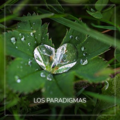 LOS PARADIGMAS