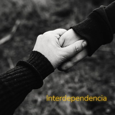 Análise do significado de Interdependência na biologia e reflexões sobre a interdependência no contexto humano