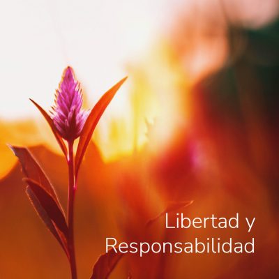 Libertad y responsabilidad