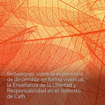 Reflexiones sobre la experiencia de desarrollar en forma vivencial, la Enseñanza de la Libertad y Responsabilidad en el contexto de Cafh