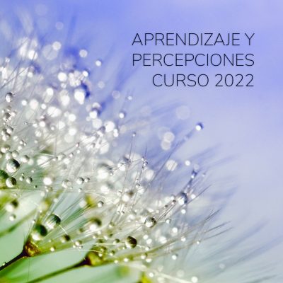 APRENDIZAJE Y PERCEPCIONES CURSO 2022