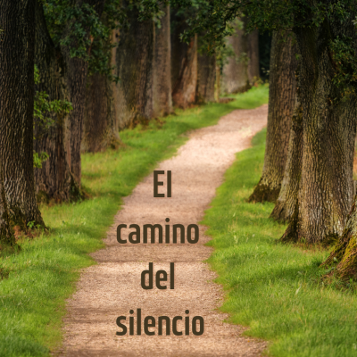 El camino del silencio