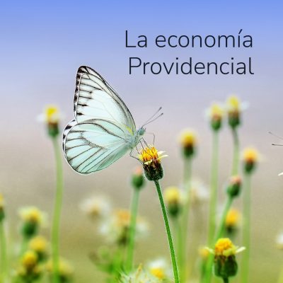 La economía Providencia