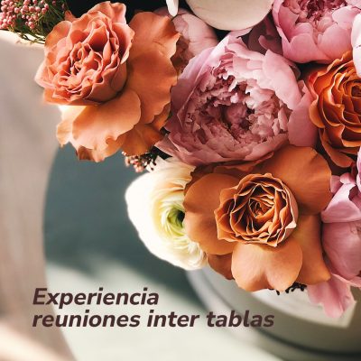 Experiencia reuniones inter tablas