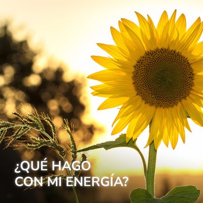 ¿QUÉ HAGO CON MI ENERGÍA?