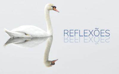 REFLEXÕES