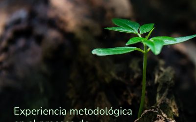 Experiencia metodológica en el proceso de trabajo interior